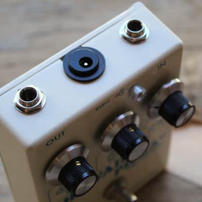 CAROLINE  "Hawaiian Pizza Fuzz" image 13