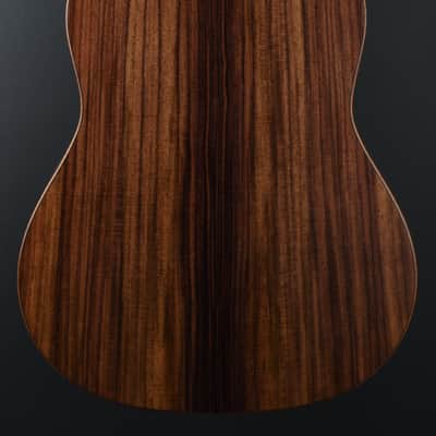 Taylor USED Builder’s Edition 717E '24 image 4