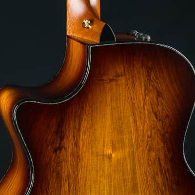 Taylor PS14ce Presentation Series Honduran Rosewood and Adirondack Spruce with Pickup Used (2025) image 18