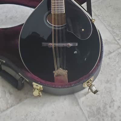 Washburn M1SDLB Bluegrass Series A-Style Mandolin 2010s - Black image 2
