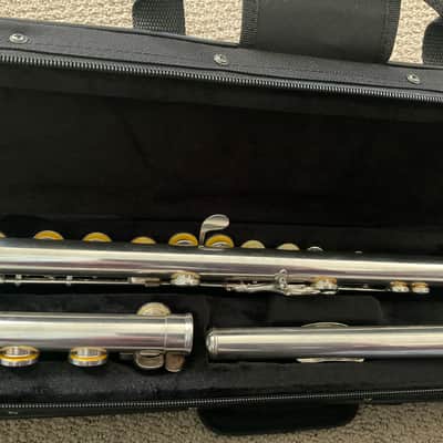 Di Zhao DZ 220 - Closed Hole Flute All New Pads, New Case image 7