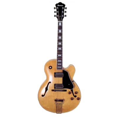 Ibanez FG100 FG