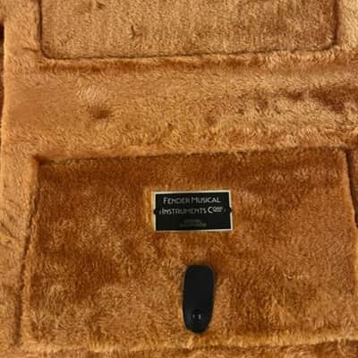 Fender Eyeglass Case Jazzmaster/Jaguar image 2