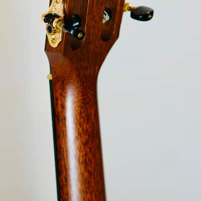 Rare Taylor NS52ce (2003) – Jason Mraz Spec – USA Made – Fishman image 19