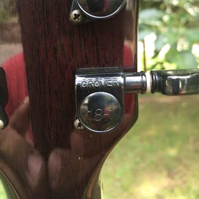 Washburn WI-66PROE Idol (Limited) Black & Gray image 9