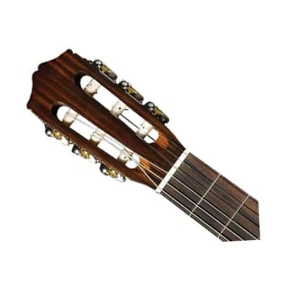 Cordoba Protégé CP100 Guitar Pack image 3