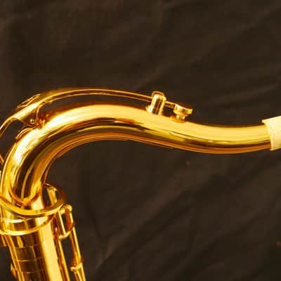 Tenor Saxophone Neck from Peter Ponzol image 1