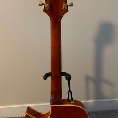 Cort Triggs TRG-1 Hollowbody image 5