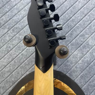 Harley Benton TE-20HH SkunkWerx Tuxedo Special Custom 2025 - Satin Black image 18