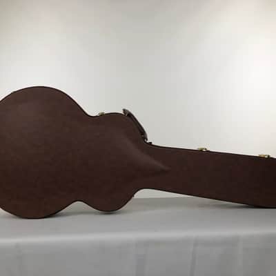 Gator Semi-Hollow Electric Guitar Deluxe Wood Case image 1