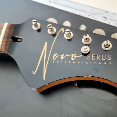 Novo guitar neck image 1