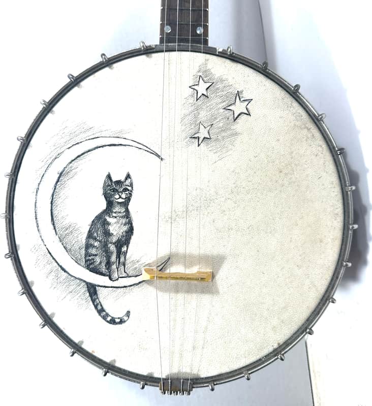 Vega vintage tenor cello banjo 4 strings with painted head New York made Style N “the Tabby” 1924 - Wood and half skin image 1