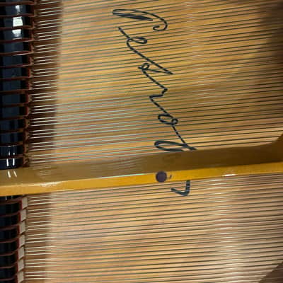 Petrof Model 1 (280)- High Gloss image 5
