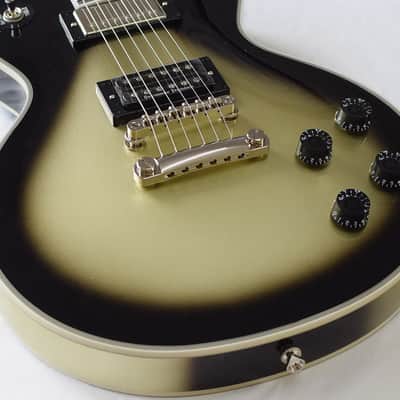 Epiphone Les Paul Custom Adam Jones Self Portrait image 9