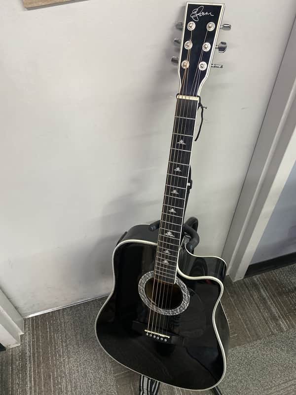 Esteban American Legacy Black silver cutaway  Limited Edition. 885/15000 image 1