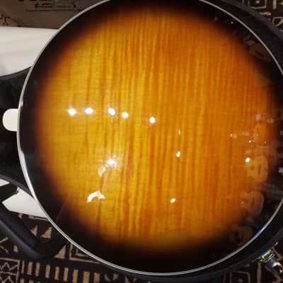 Fender Fb58 5 string banjo image 7