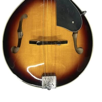 Washburn Mandolin M-1S image 1