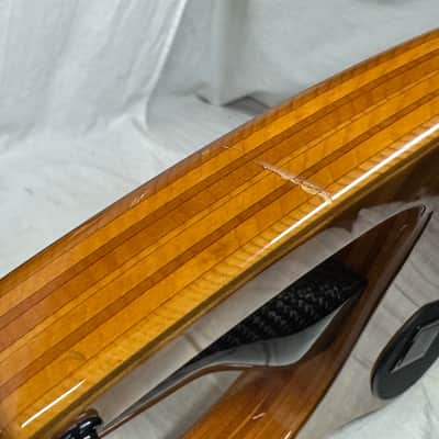 Parker USA FB-5 fb5 Fly 5-string Bass image 23