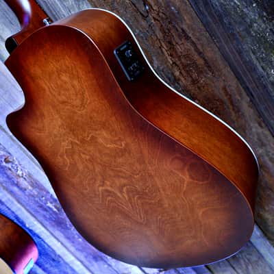 Seagull Entourage CW Presys II - Autumn Burst image 18