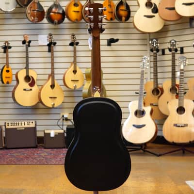 Gold Tone GRS Paul Beard Metal Body Round Neck Resonator Acoustic Guitar image 6