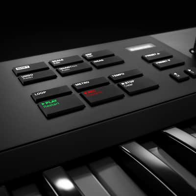 Native Instruments - Komplete Kontrol A49 New - B-Stock image 6