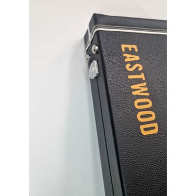 Eastwood Airline case - Excellent image 10