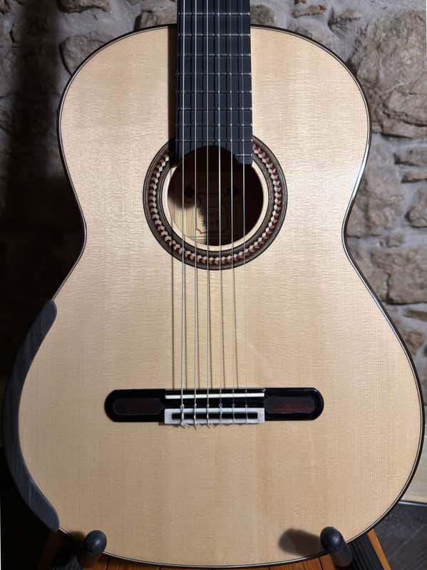 Yulong Guo Concert GC03AS Ziricote/Spruce 2025 - n. 011 image 1