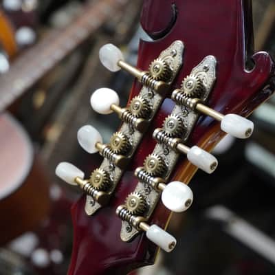 Gibson Flatiron F-Festival Mandolin Cremona Burst image 16