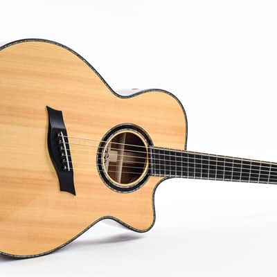 BSG GA45CF Fan Fret Recent image 12