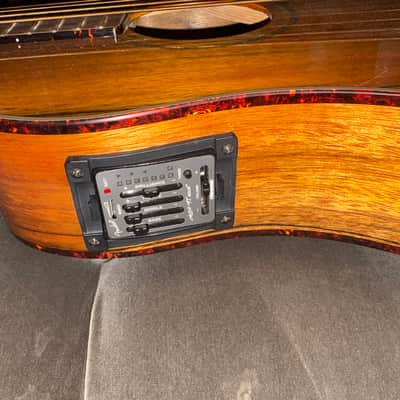 Fender Victor Bailey Signature Acoustic-Electric Bass (VB-NAT) – Mint/Collector Condition 2010 image 3