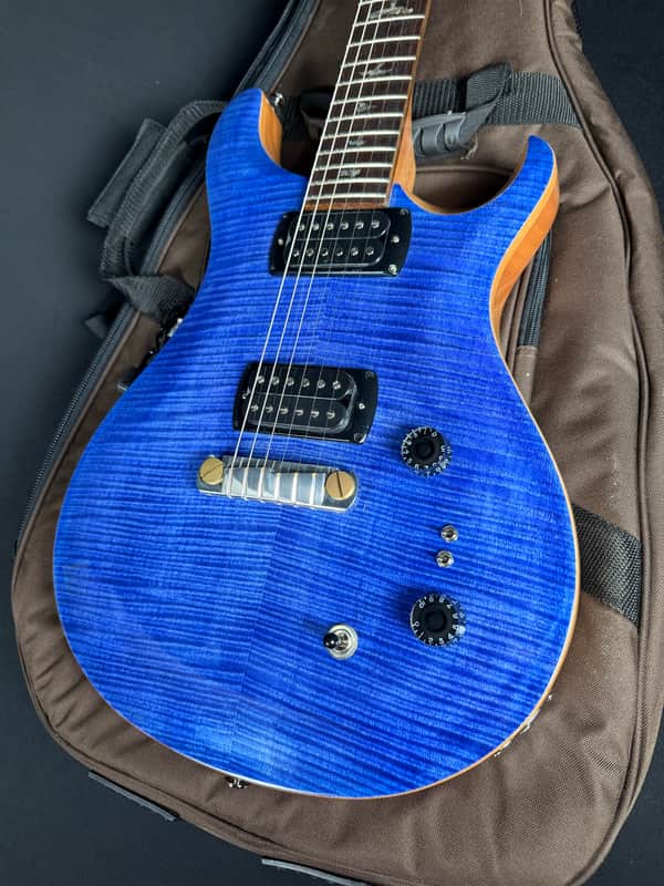 PRS SE Paul's Guitar