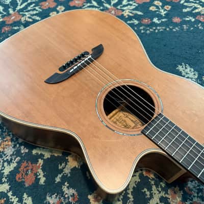 Alvarez Yari WY-1 - Natural image 11