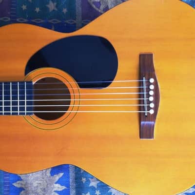Thomas Pacconi Classical Guitar image 1