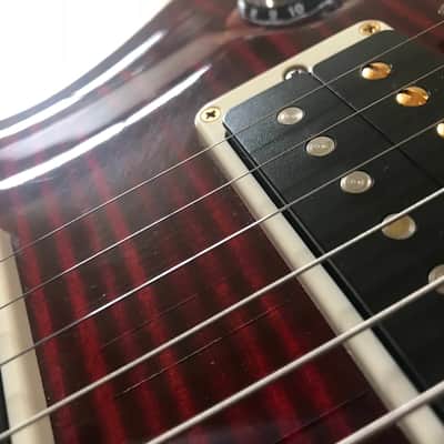 PRS Custom 24 Artist 30th Anniversary image 19
