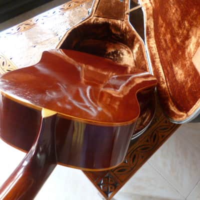 Immagine Ensenada  wg 66 Dreadnaught folk 1970 natural - 7