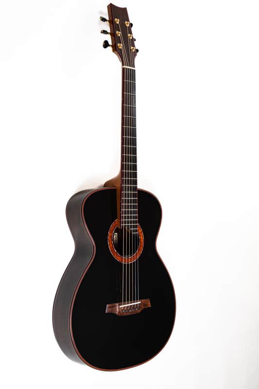 Charles Edward Fox  2005 Ergo SJ-12 Noir - Alpine Spruce w/Brazilian Rosewood image 1