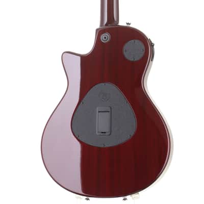 TAYLOR T5z Pro BRR [1110276103] (05/21) image 4