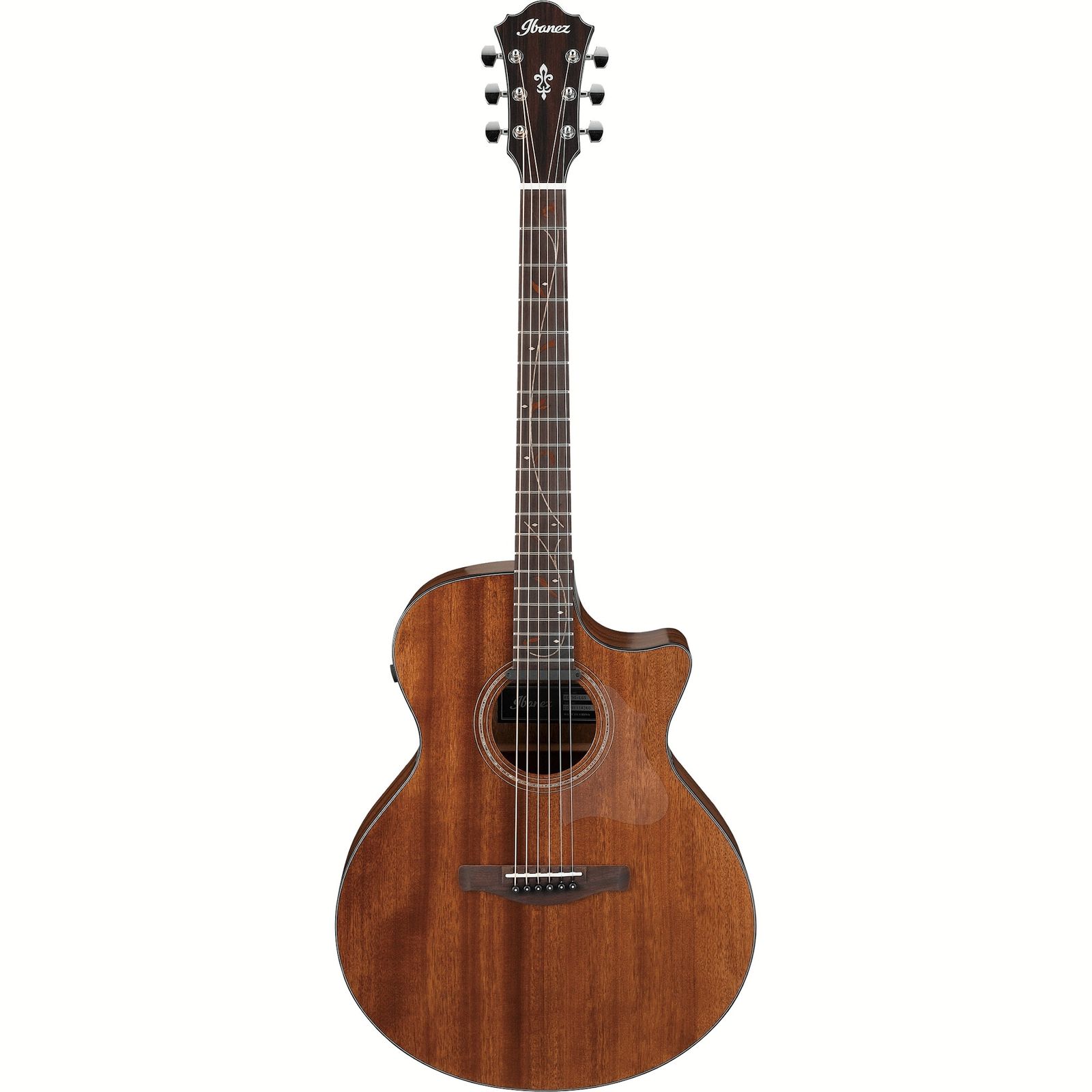Ibanez AEL45SE アコースティックギター　プリアンプ付 vbqdelzsquyfdptvfm56.jpg