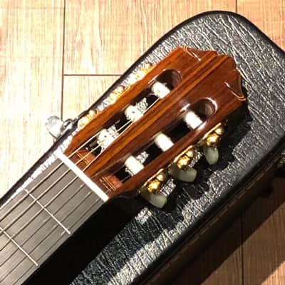 Yamaha GC-41 1998-2008 Lacquer image 6