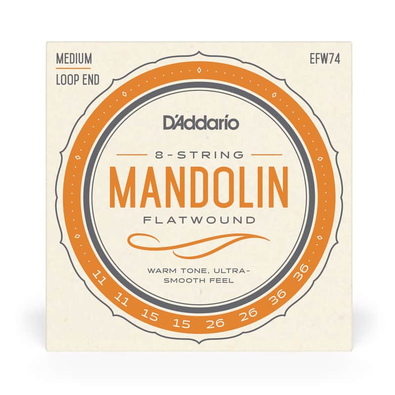 D'Addario EFW74 Flatwound Stainless Steel 11-36 Mandolin Strings image 1