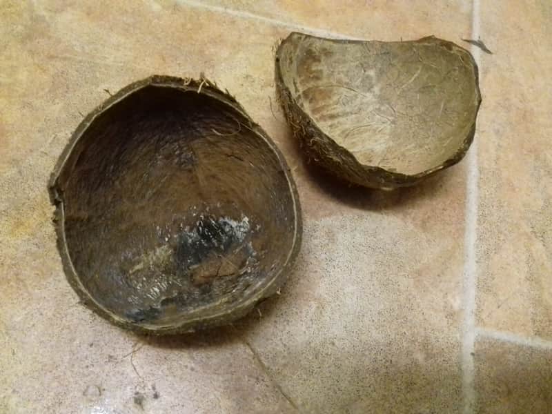 Natural 'Ethnic' Percussion instrument image 1