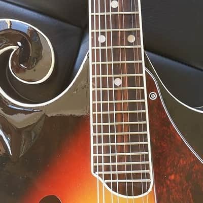 Berkeley Sunburst F-Style Mandolin Maple Back/Side image 7