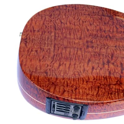 Special Electric Arabic Oud String Musical Instrument UNQ-20EA By Miras image 11