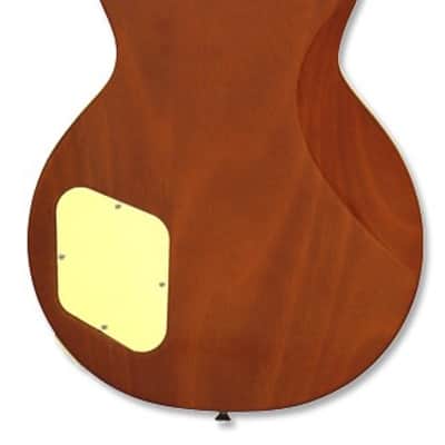 Aria Pro II PE-350PG Aged Lemon Drop image 3