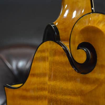 Weber Yellowstone F14-F Mandolin image 12
