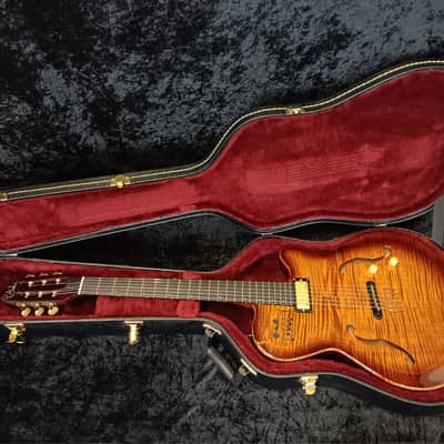 Godin Multiac Jazz SA - Lightburst image 16