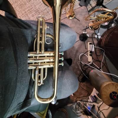 Martin Imperial Cornet 1964 Lacquered Brass, Nickle Silver image 2