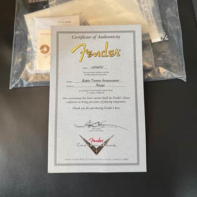 Immagine Fender Robin Trower Stratocaster 2006 - Artic White - 7