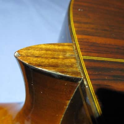 Alvarez JAPAN 5006 c.1972 Natural Dark image 15