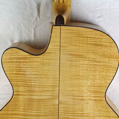 EXTREMELY RARE Vintage HOPF Original Acoustic Archtop Guitar, by GUSTAV GLASSL,  w/Cutaway, Soft Case image 13